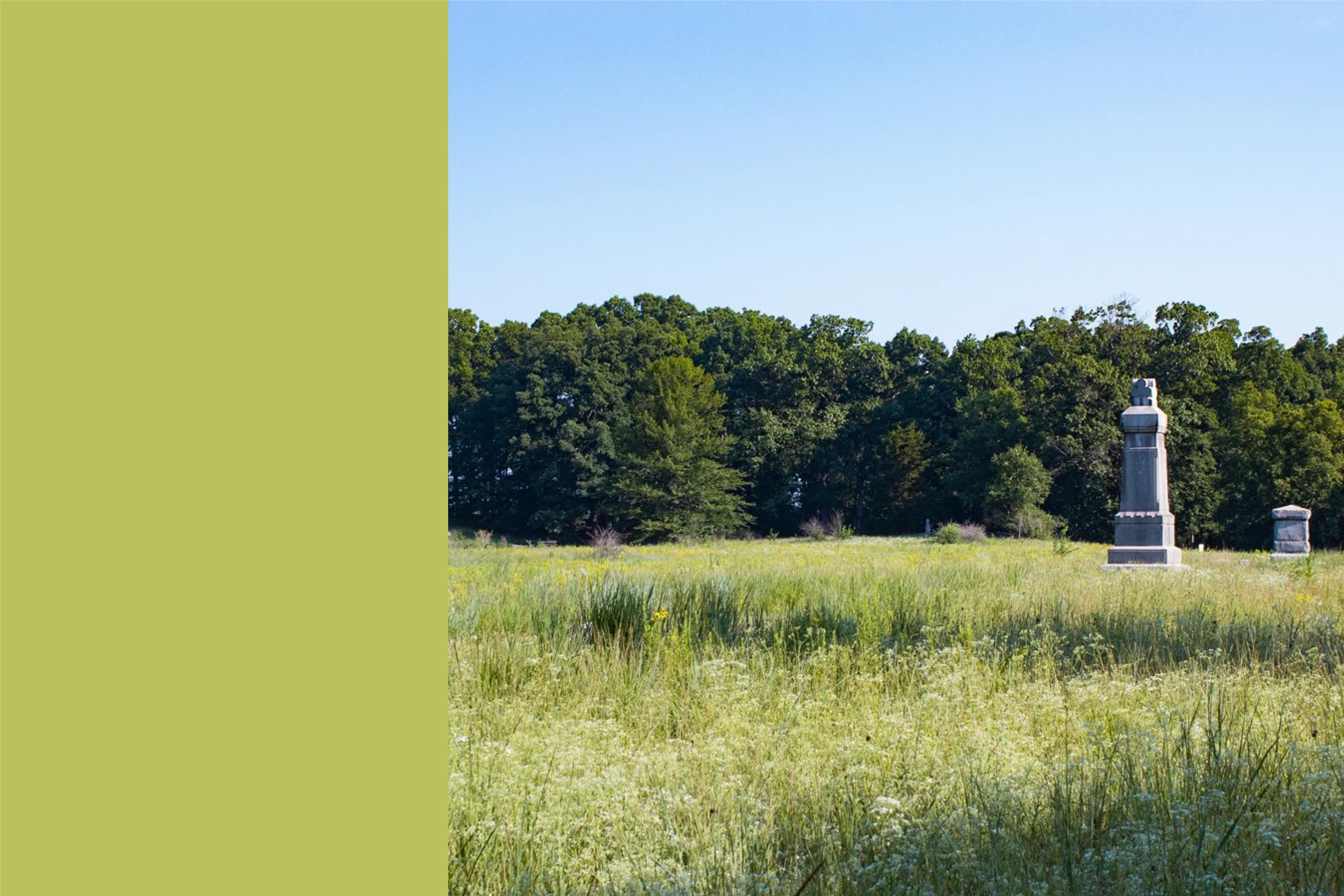 The Wheatfield