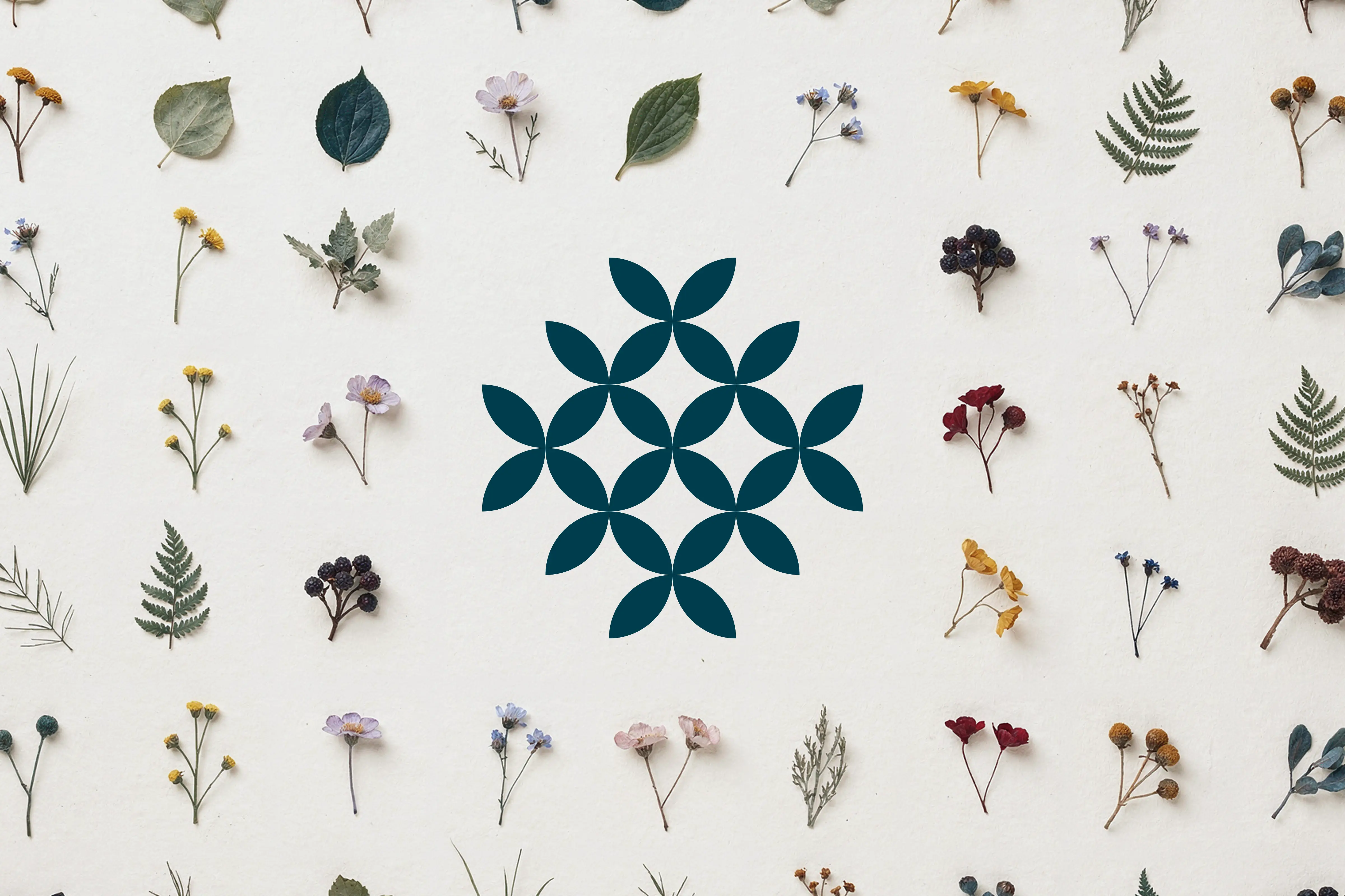 Cultivar Communications thumbnail