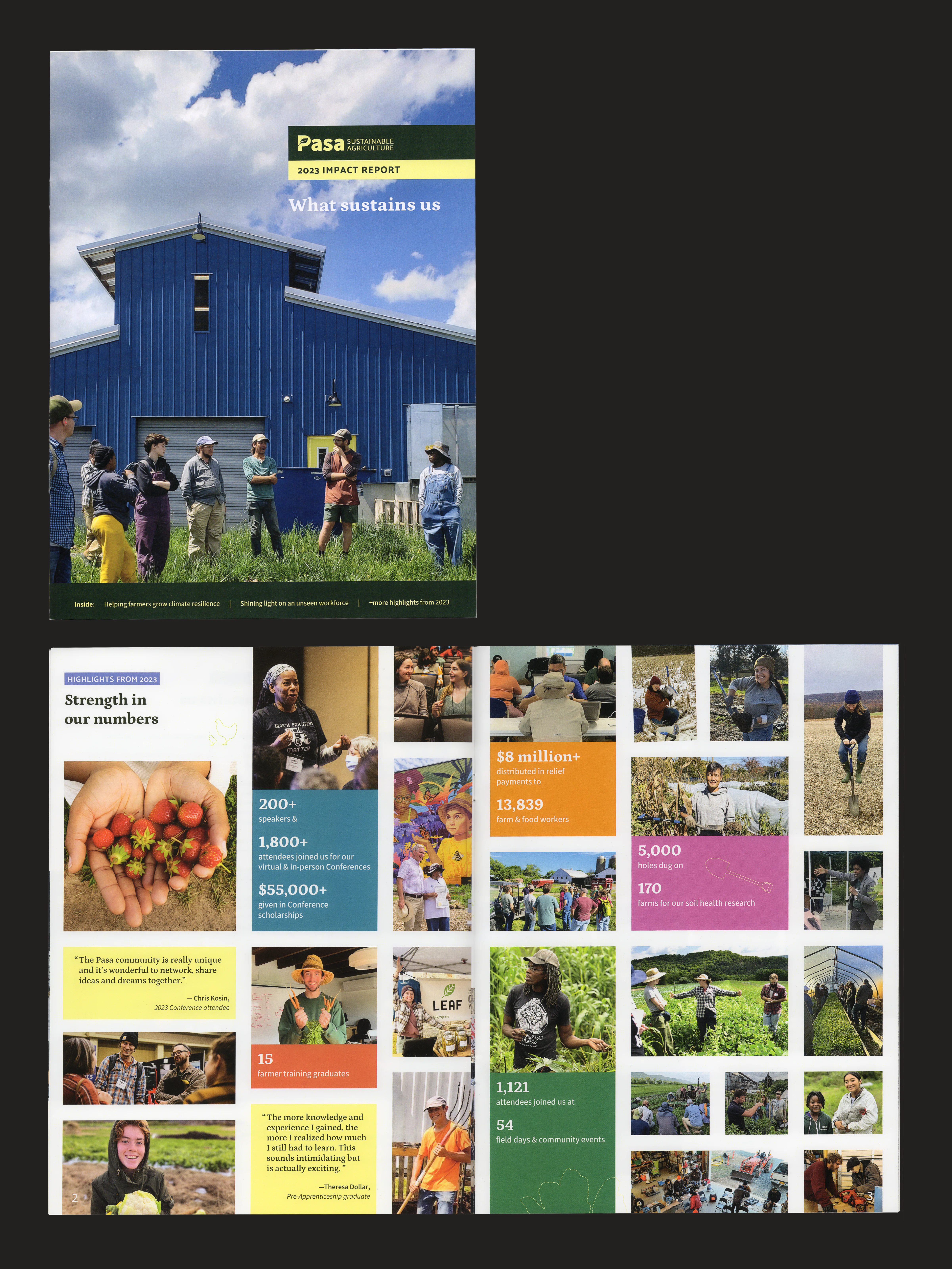Pasa Impact Report